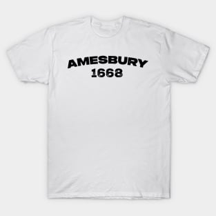 Amesbury, Massachusetts T-Shirt